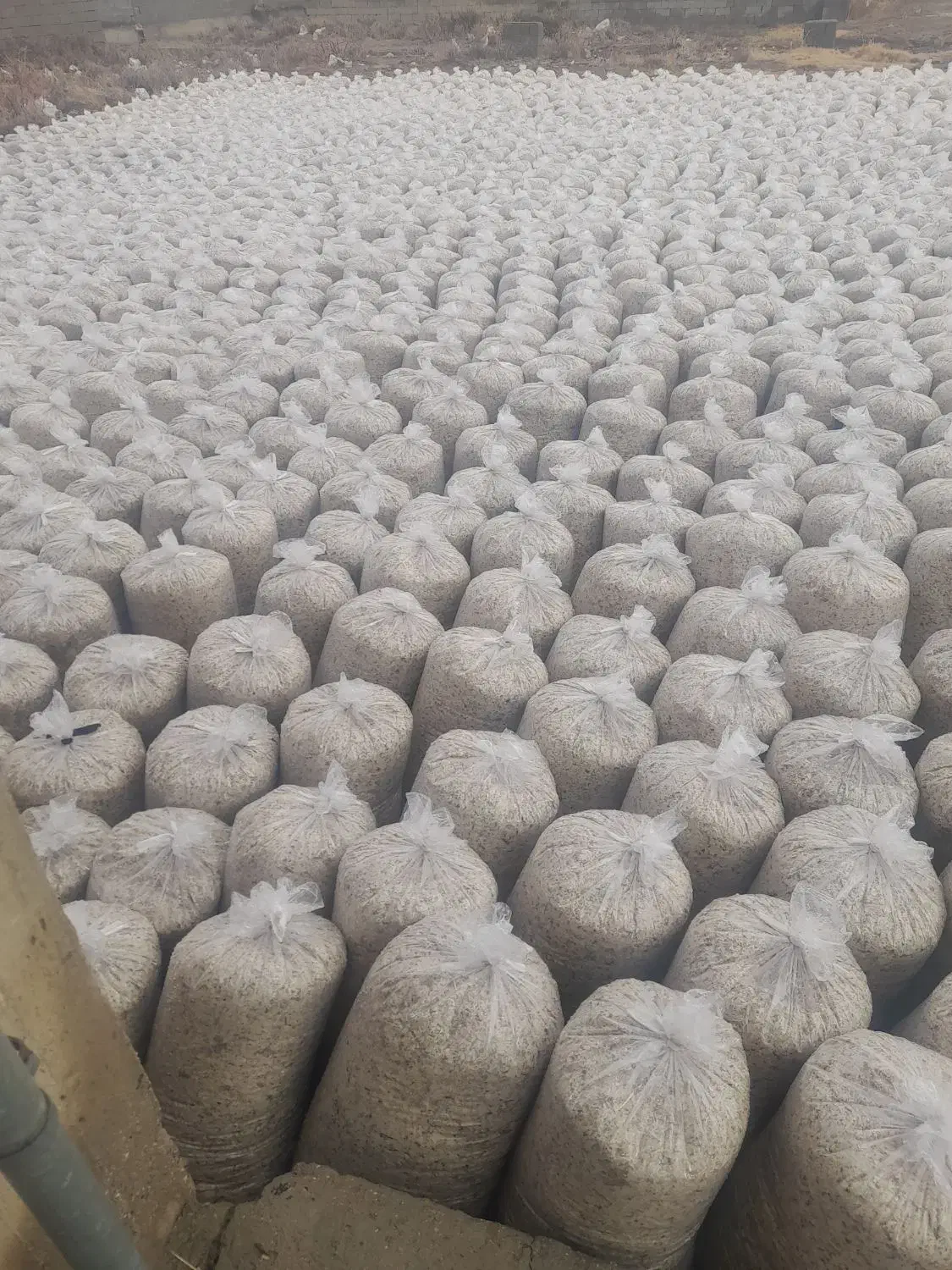 تفاله چغندر|لوازم جانبی حیوانات|چهاربرج, |دیوار