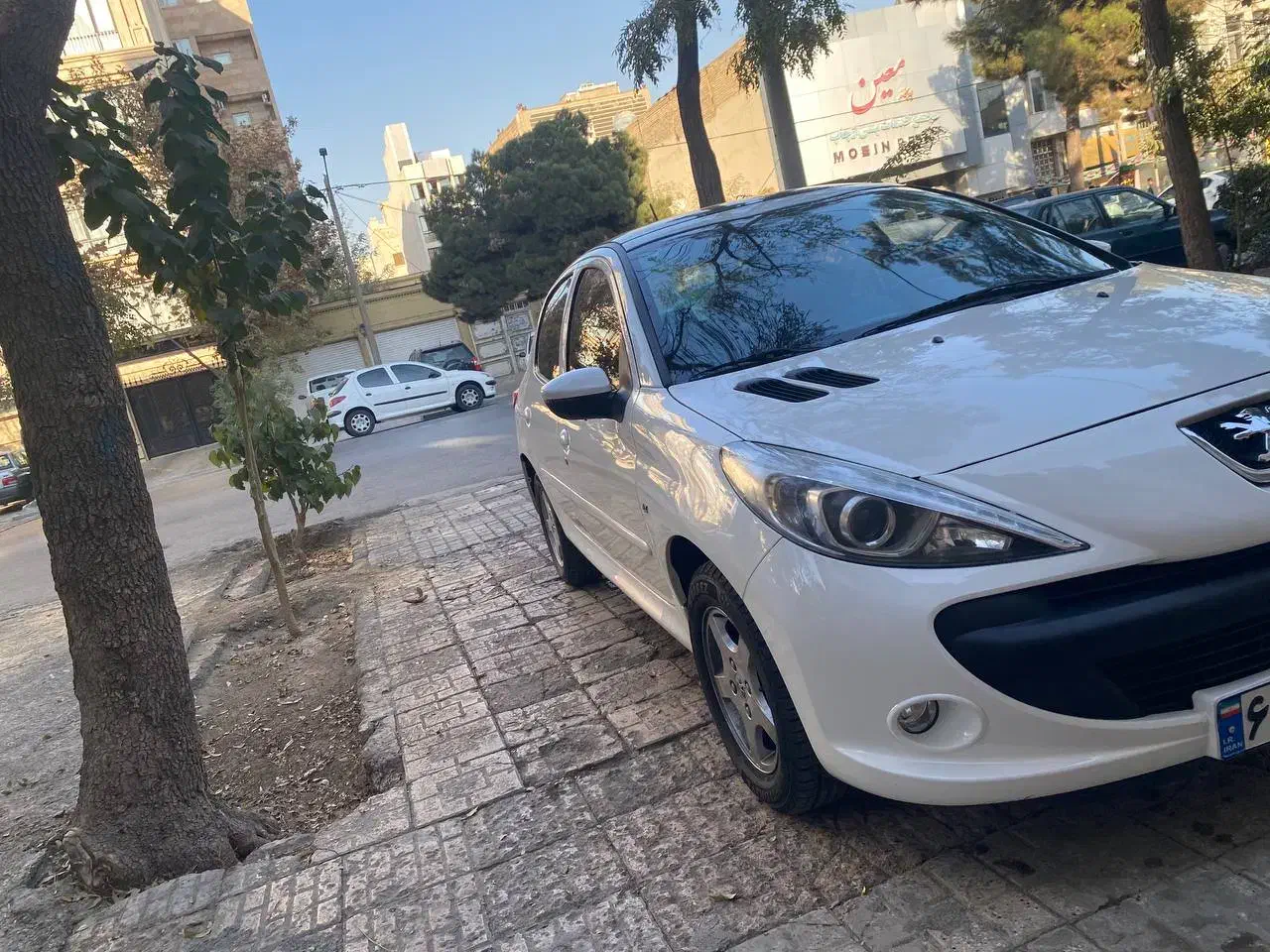 207پانا402برقی|خودرو سواری و وانت|مشهد, احمدآباد|دیوار