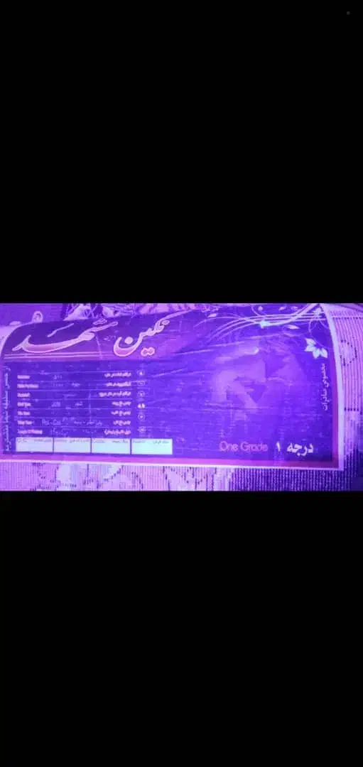 فرش نگین مشهد|فرش|برازجان, |دیوار