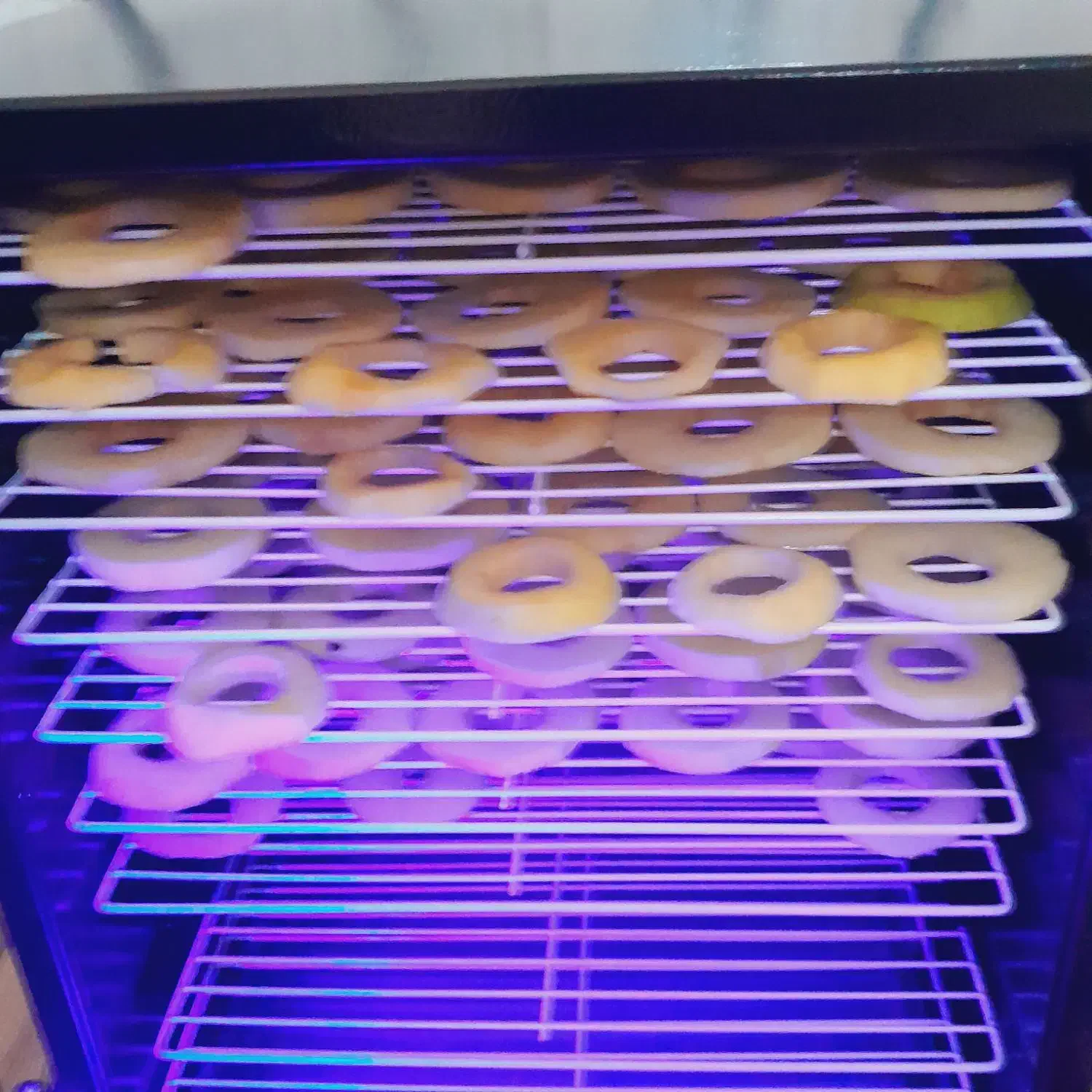 میوه خشککن|سایر لوازم برقی|خوی, |دیوار