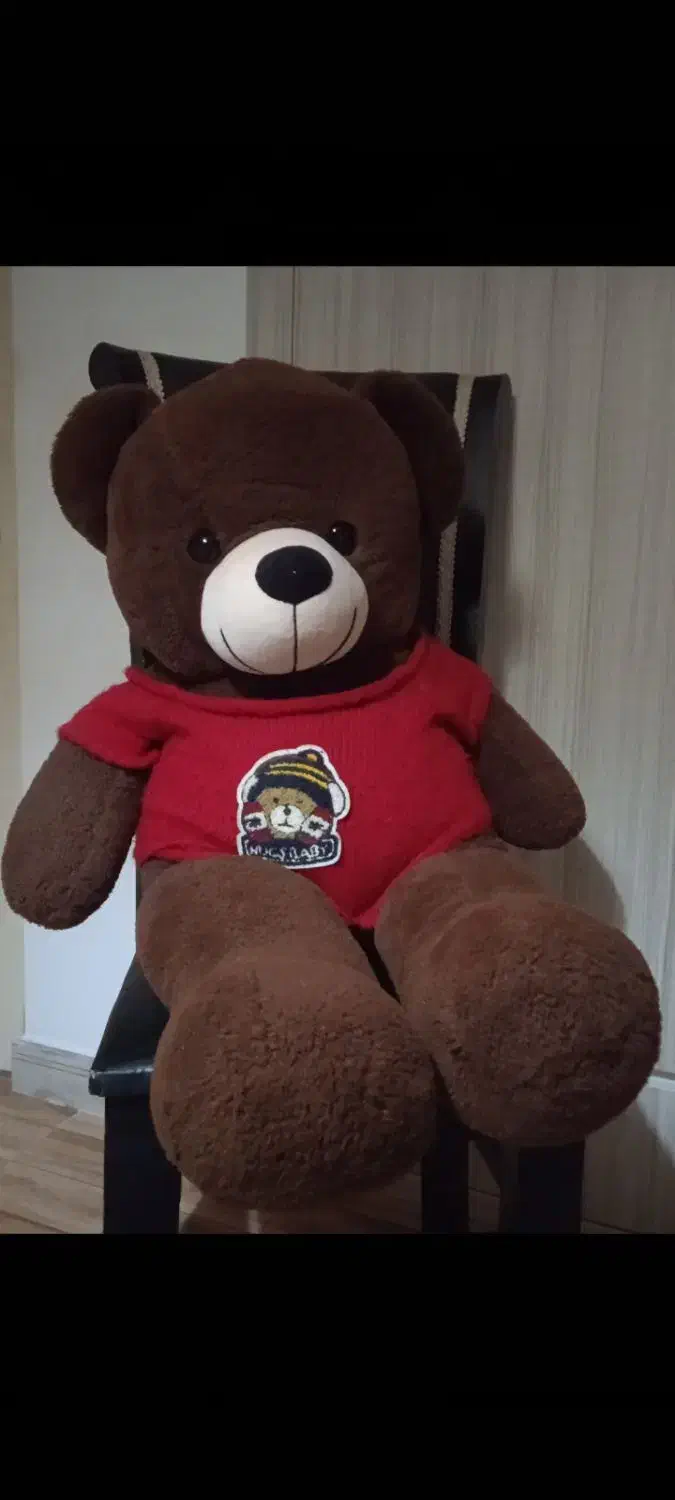 خرس قهوه‌ای|اسباب‌‌بازی|نوشهر, |دیوار