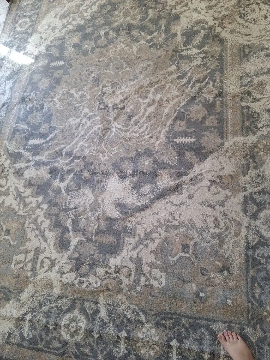 قرش ۹متری|فرش|فولادشهر, مسکن مهر فولادشهر|دیوار