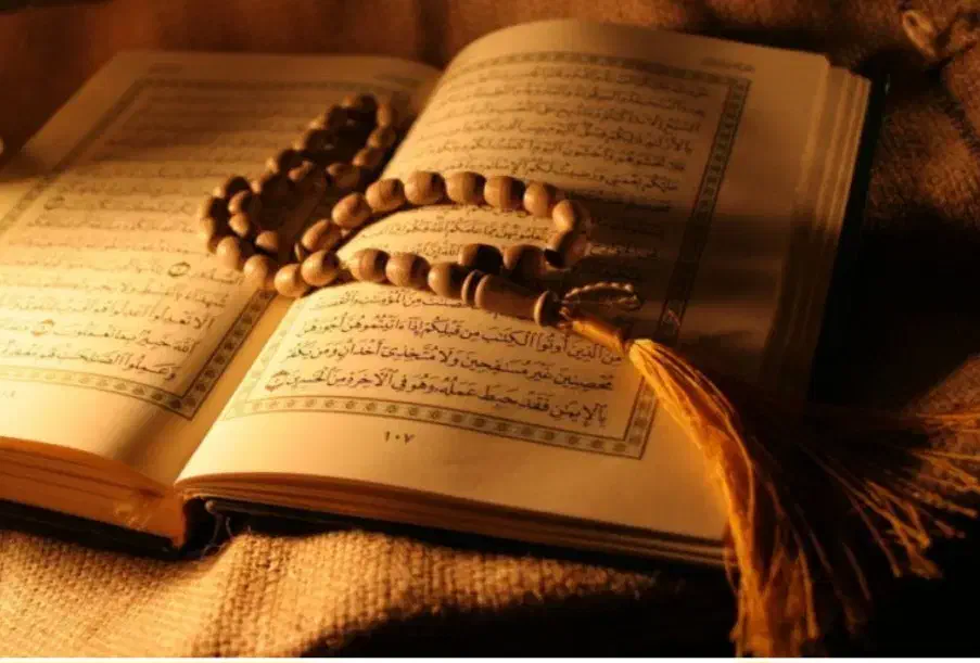 فال|خدمات پذیرایی، مراسم|جم, |دیوار