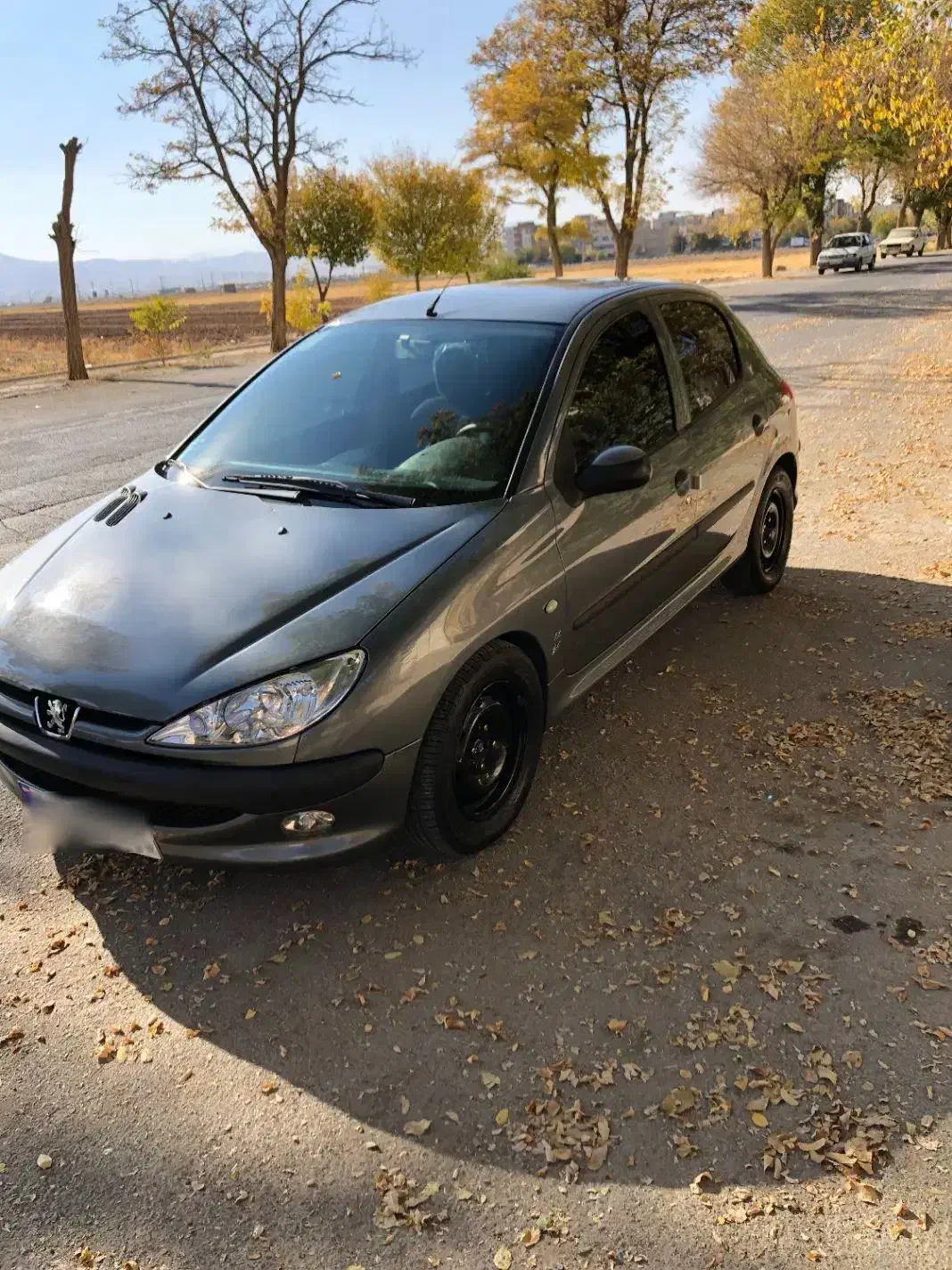 ۲۰۶ تیپ ۲|خودرو سواری و وانت|شهرکرد, |دیوار