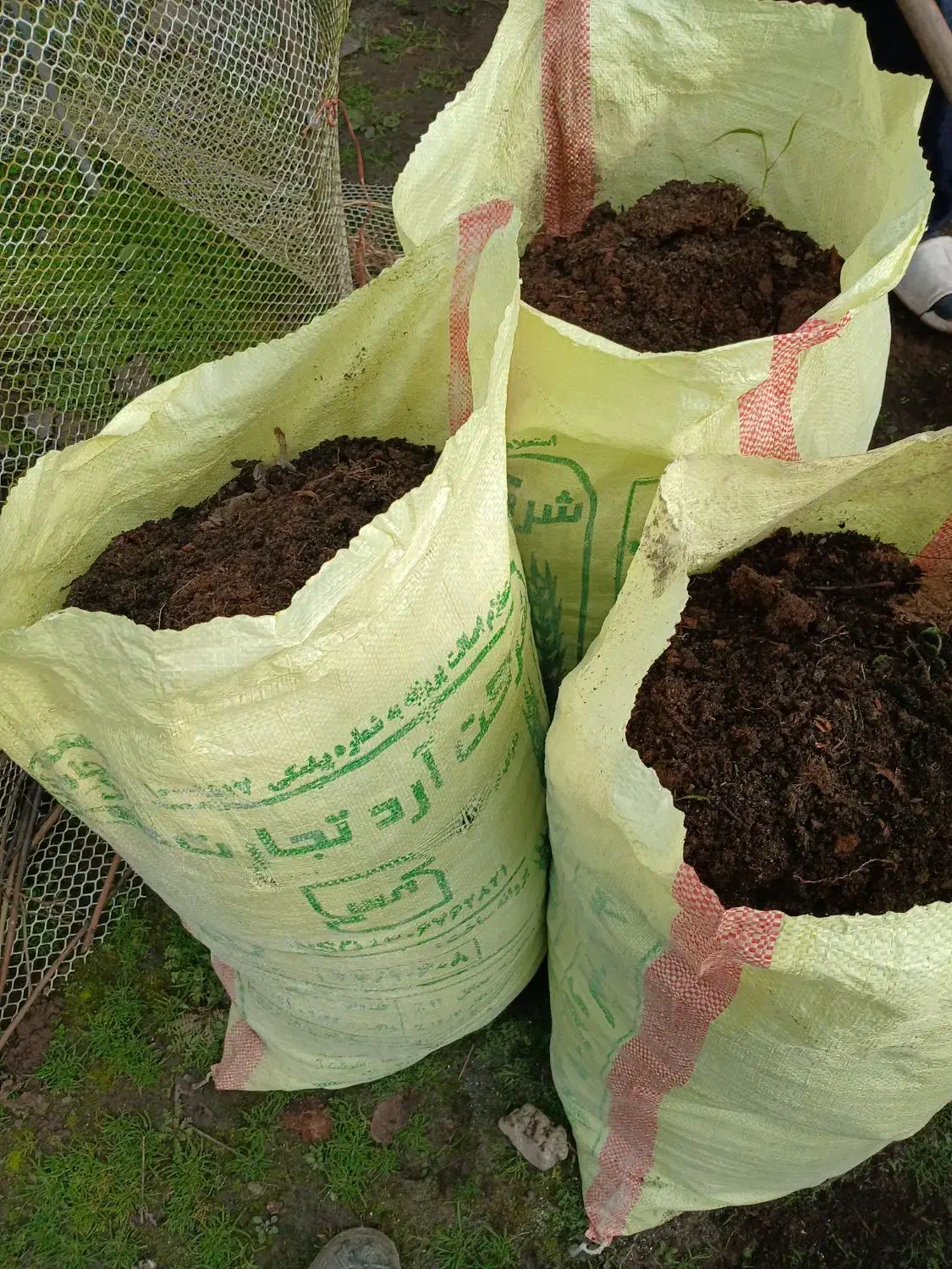 کود حیوانی|خدمات باغبانی و درختکاری|رشت, حومه رشت|دیوار