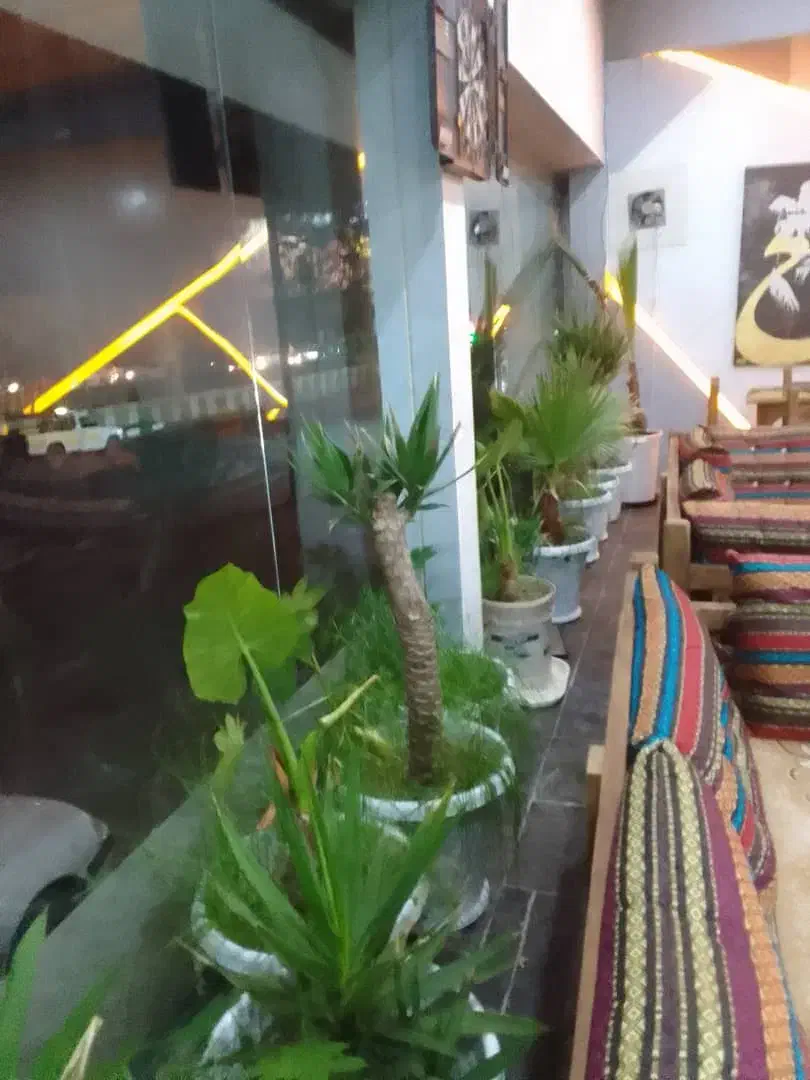 فروش وسایل سفره خونه به صورت یک جا وکامل|کافیشاپ و رستوران|کرج, بیلقان|دیوار