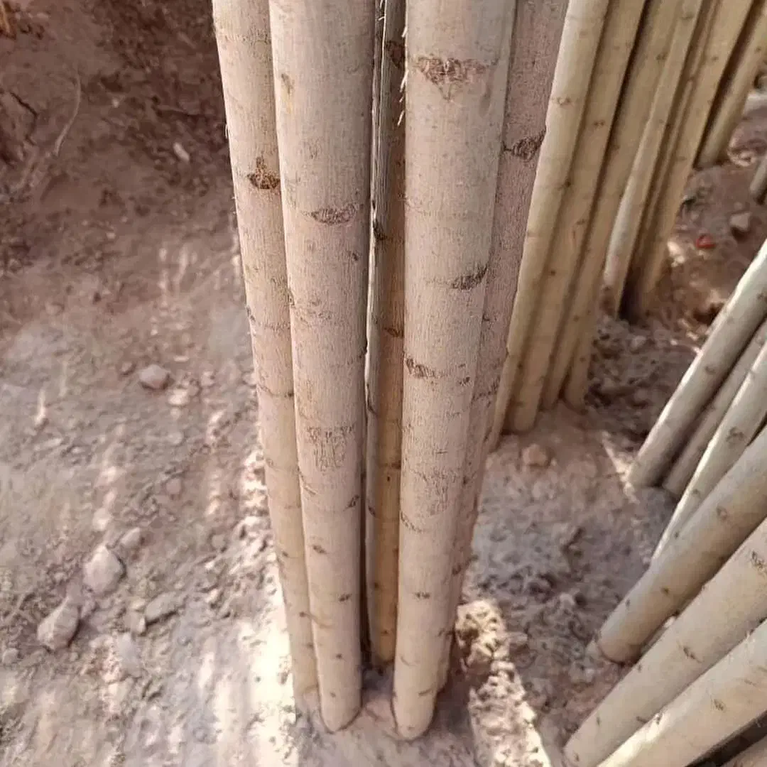 نهالستان عمده و خرده|خدمات باغبانی و درختکاری|شهرکرد, |دیوار