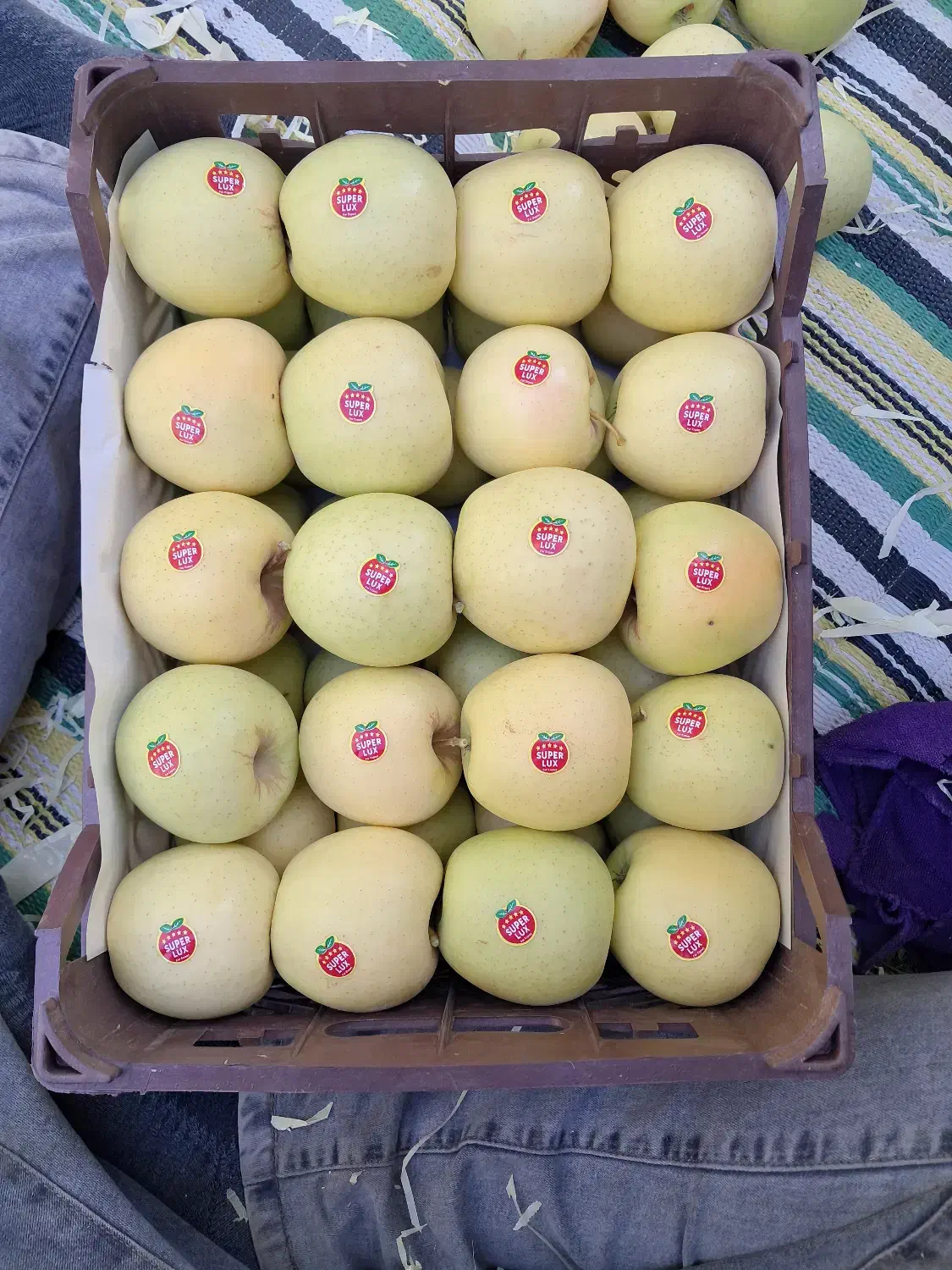 سیب درختی درجه ممتاز|خوردنی و آشامیدنی|تهران, محمودیه|دیوار