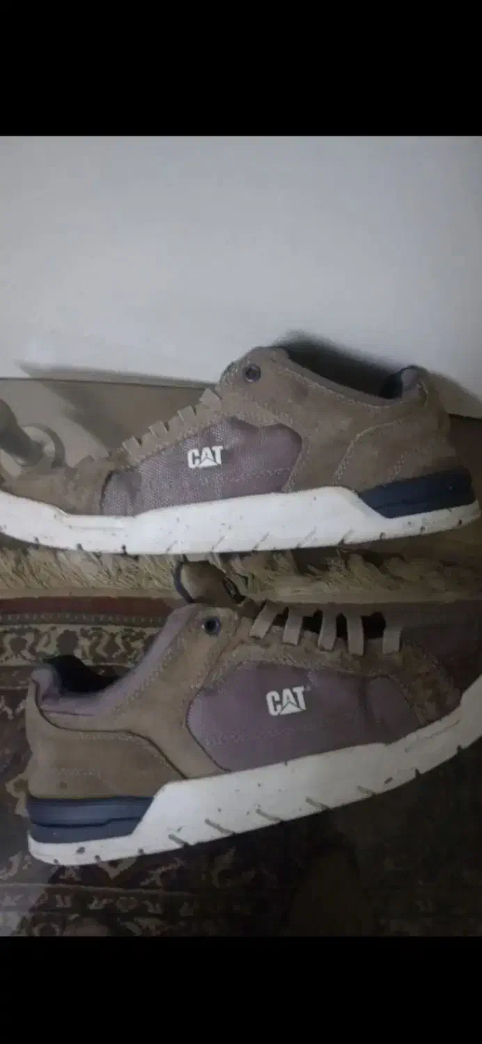 کفش کاترپیلار اورجینال cat|کیف، کفش، کمربند|یاسوج, |دیوار