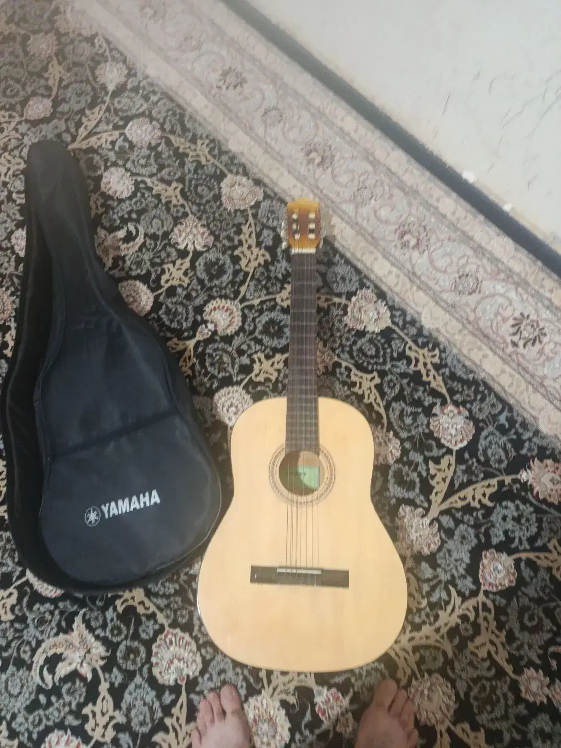 گیتار|گیتار، بیس، امپلیفایر|اهواز, شهرک شهید عباس پور|دیوار