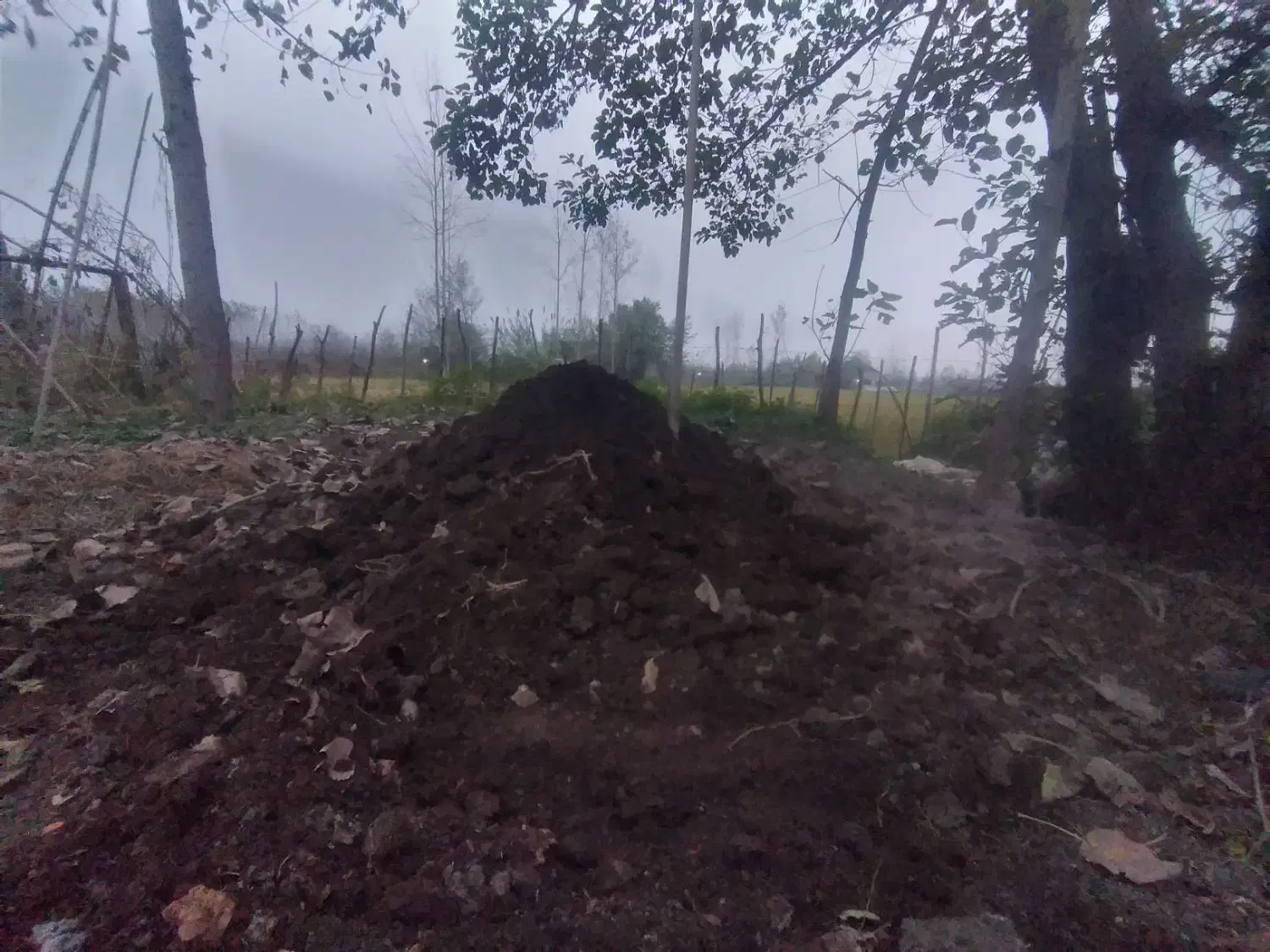 کود،چرم گاوی|خدمات باغبانی و درختکاری|صومعه‌سرا, |دیوار