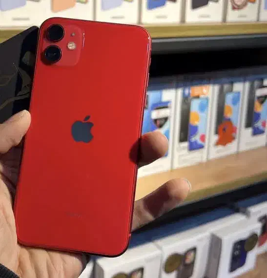 ایفون ۱۱ نرمال|موبایل|قروه, |دیوار