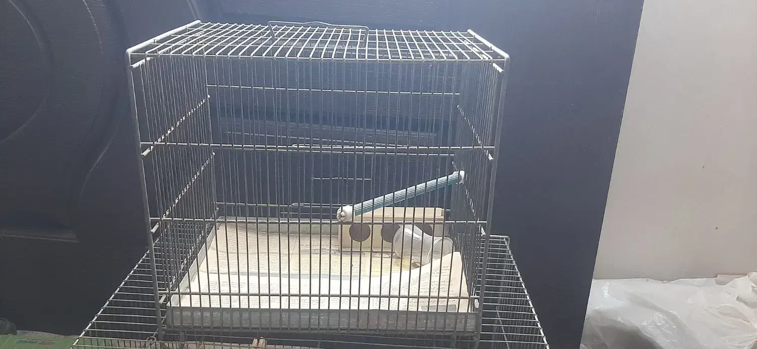 فروش قفس پرنده|لوازم جانبی حیوانات|فردیس, سپید دشت|دیوار
