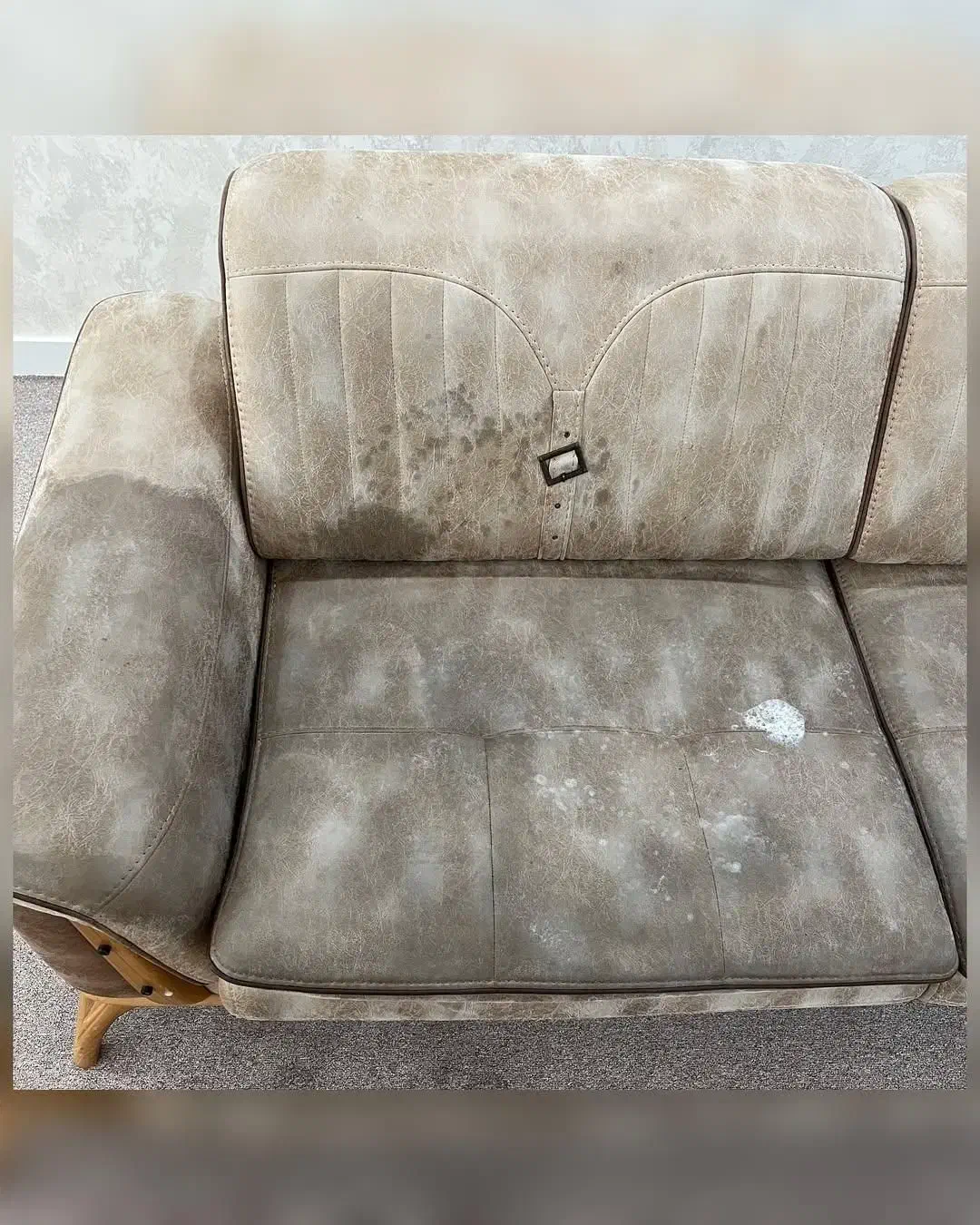 مبل شویی  نمونه شهر|خدمات نظافت|اردبیل, |دیوار