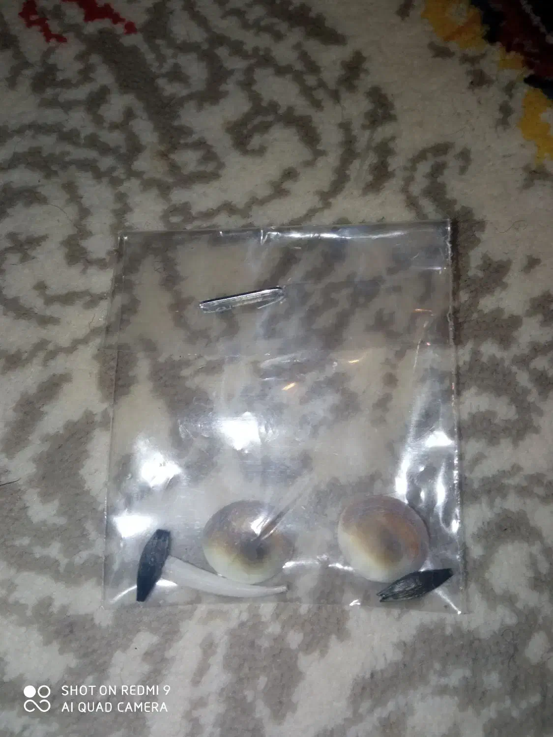 مروارید|جواهرات|کامیاران, |دیوار