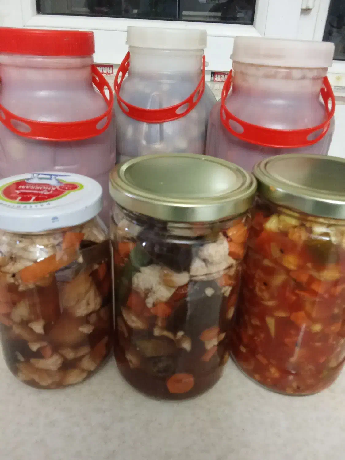 لواشک و ترشی و دلمه|خوردنی و آشامیدنی|بجنورد, |دیوار