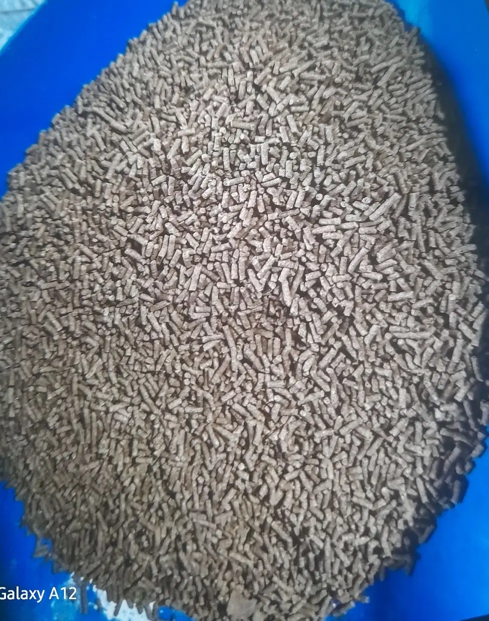 خوراک میگو|ماهی|میناب, |دیوار