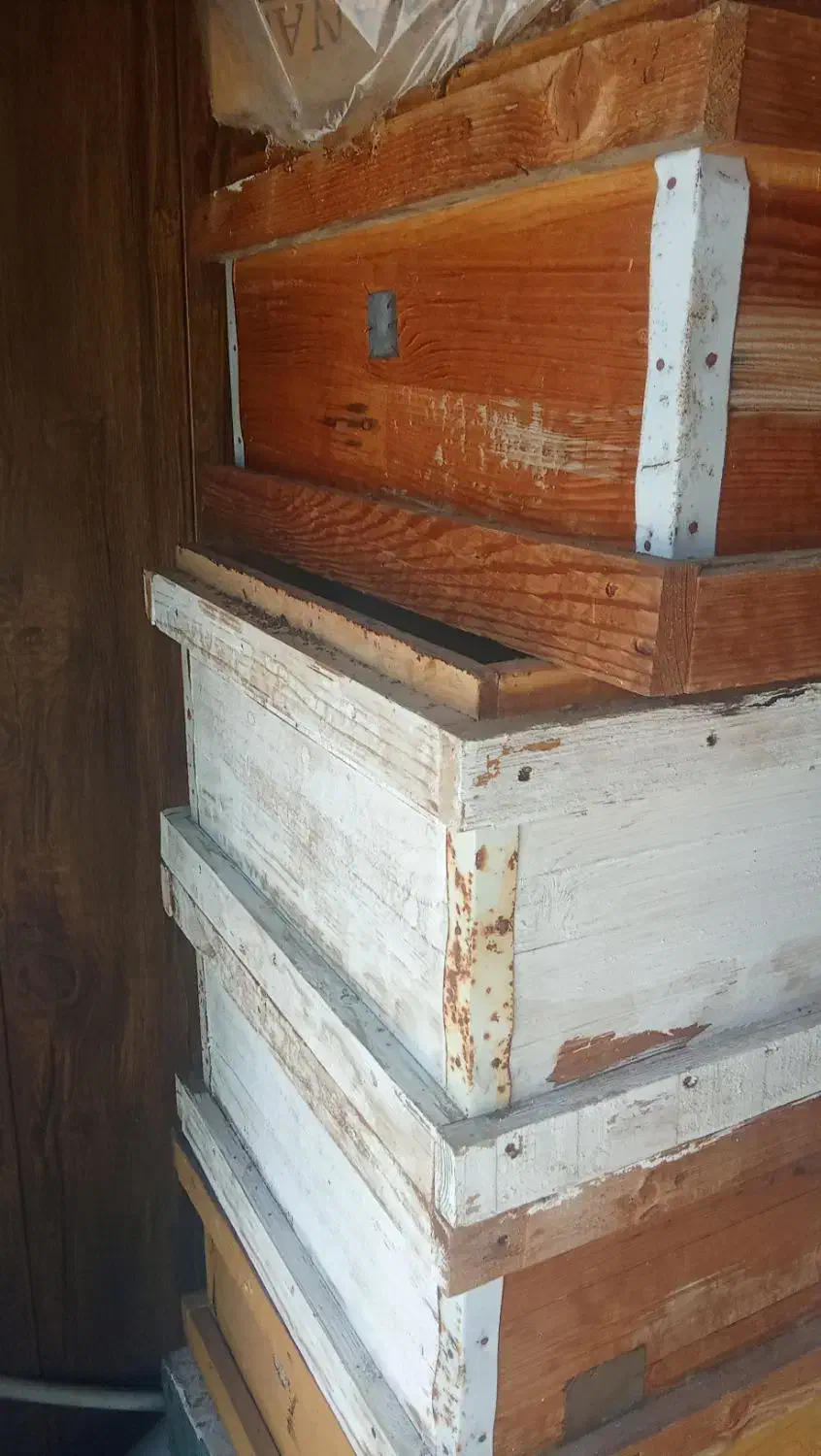 طبق کندو|لوازم جانبی حیوانات|خشت, |دیوار