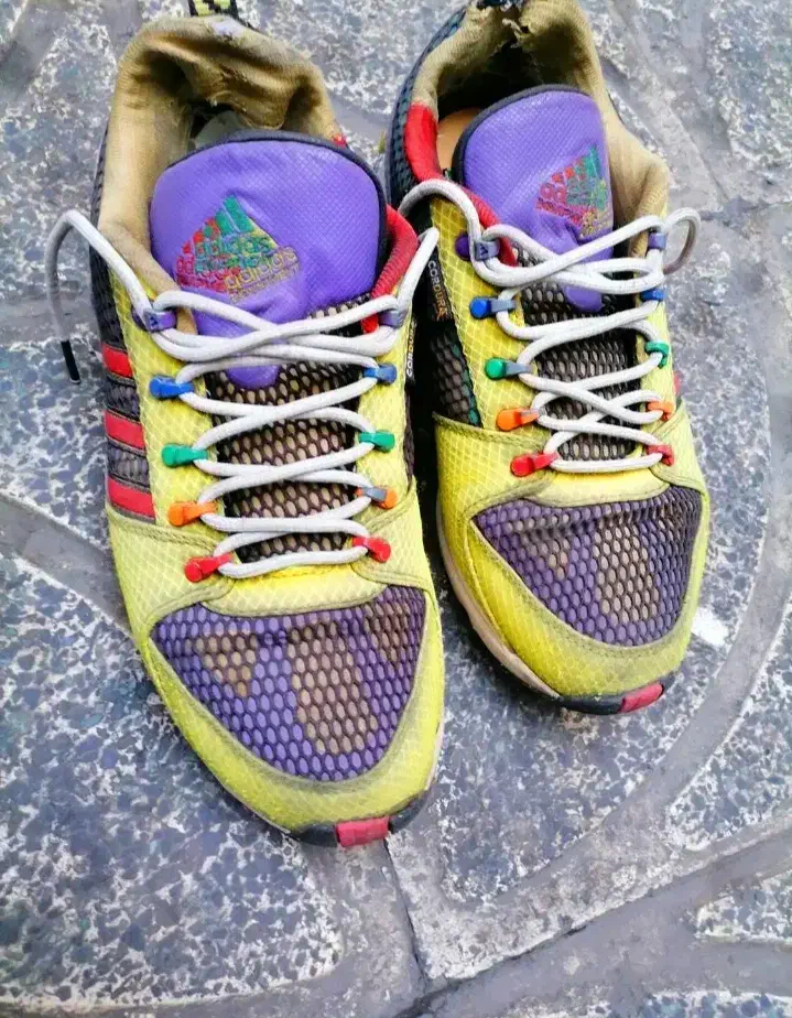 کتونی zx سوپر ارت|کیف، کفش، کمربند|تهران, خانی آباد نو شمالی|دیوار