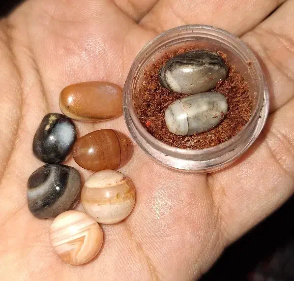 مهره معاوظه با گردنی|جواهرات|اهواز, سپیدار|دیوار