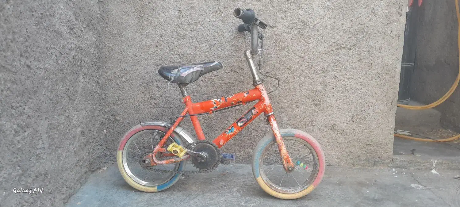 دوچرخه ۲۰و دوچرخه۱۲|دوچرخه، اسکیت، اسکوتر|تربت جام, میان جام|دیوار