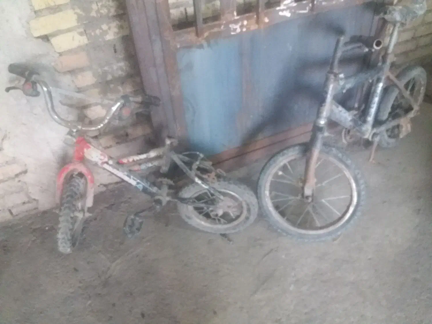 دوچرخه|دوچرخه، اسکیت، اسکوتر|اندیمشک, |دیوار