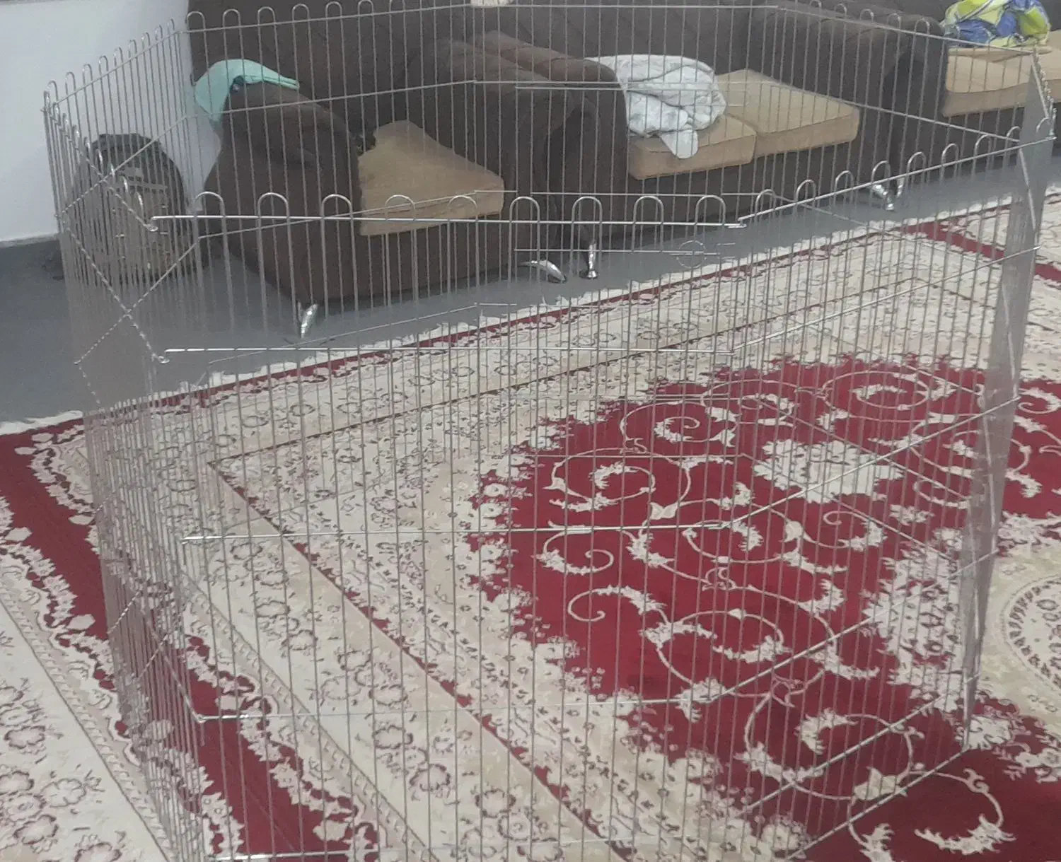 پارک سگ|لوازم جانبی حیوانات|بروجرد, |دیوار