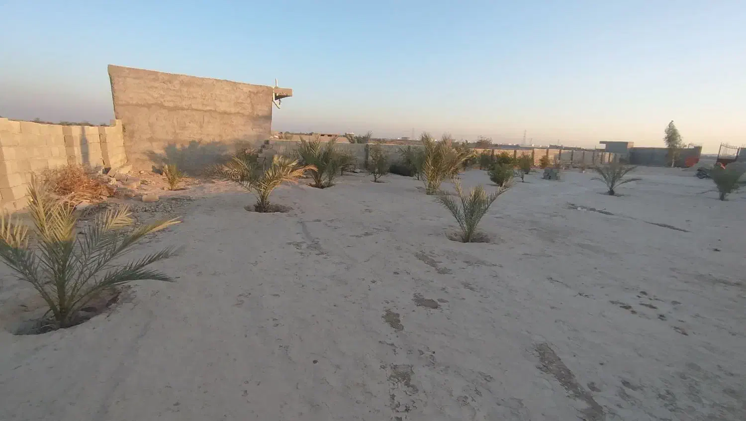 زمین|فروش زمین و ملک کلنگی|بندر گناوه, |دیوار