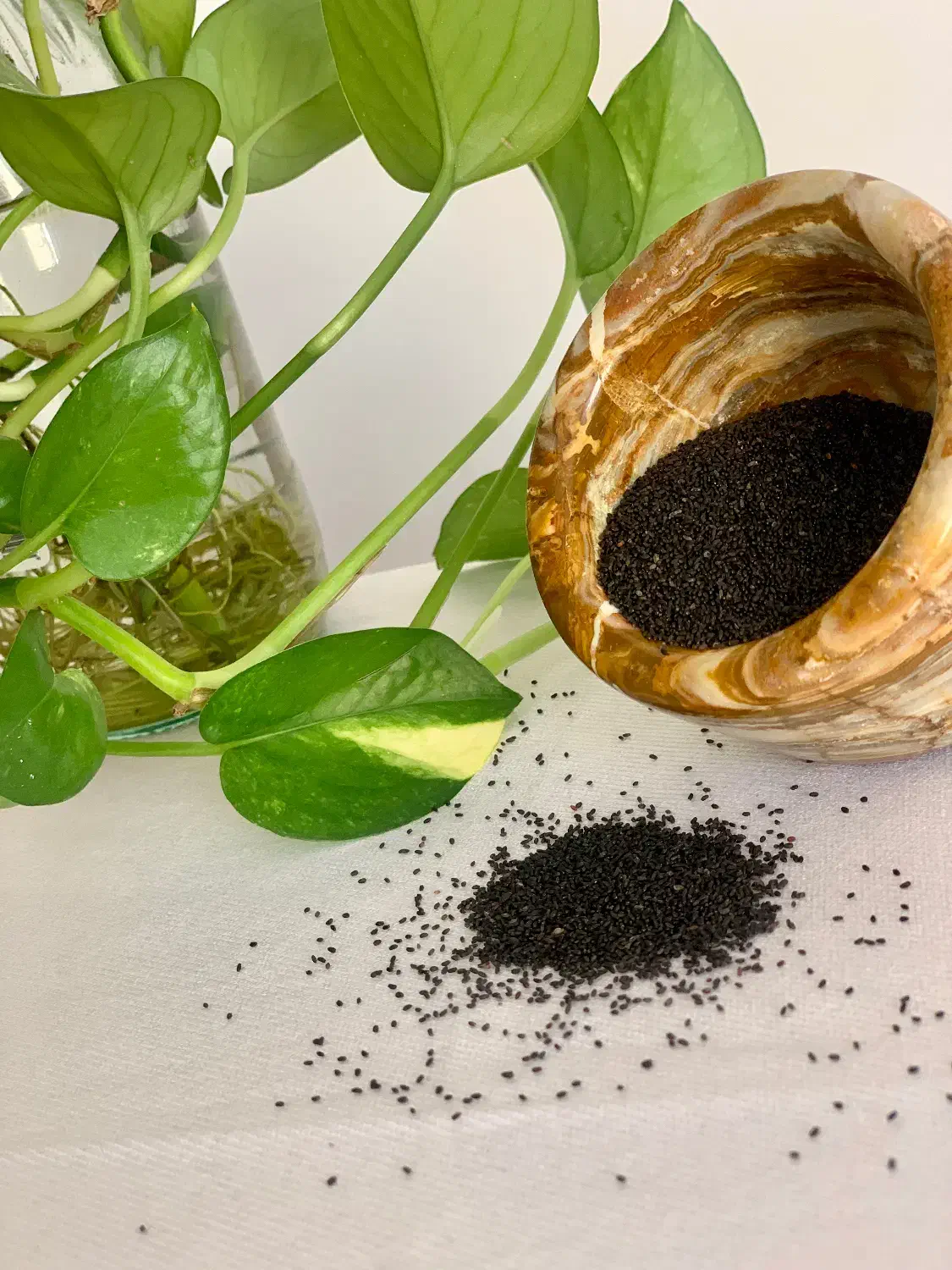 ادویه و خشکبار کاشانه|خوردنی و آشامیدنی|کاشان, پاقپان|دیوار