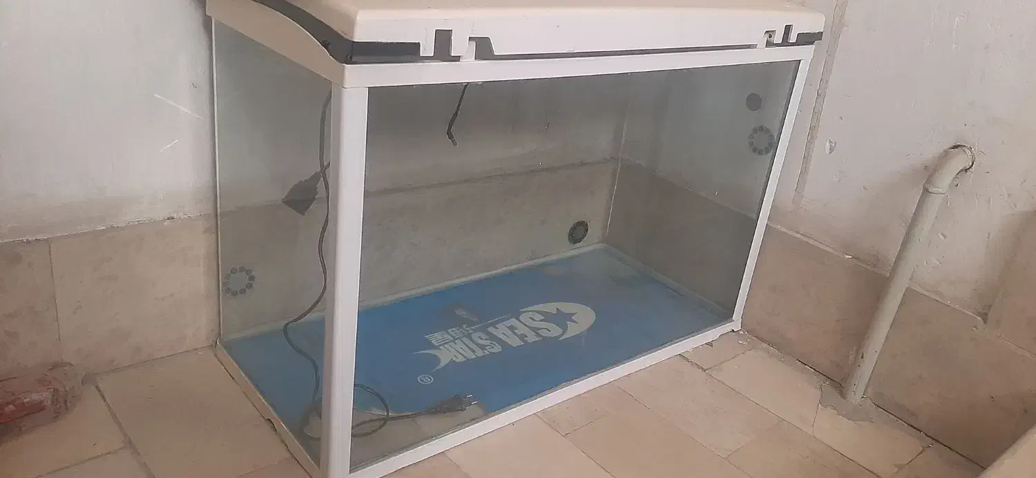 اکواریوم شیشه خم ضد ضربه نشکن|ماهی|تهران, وحیدیه|دیوار