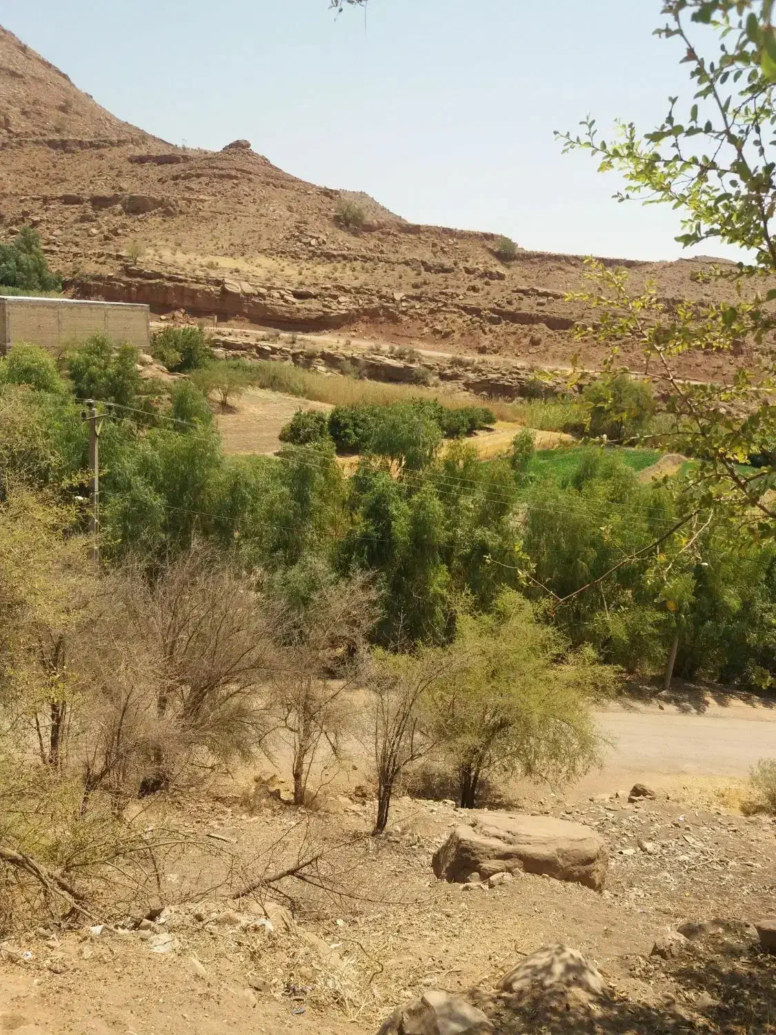 گم شدن کارت ملی|اشیا|چادگان, |دیوار