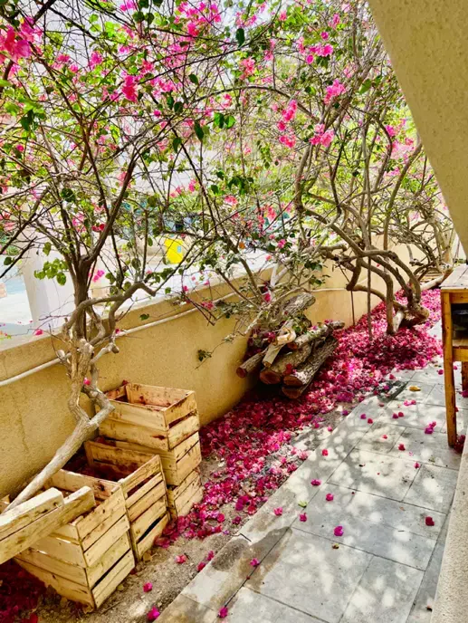 اجاره خانه مبله شیک در شهرک صدف کیش|اجارهٔ کوتاه‌مدت آپارتمان و سوئیت|کیش, |دیوار