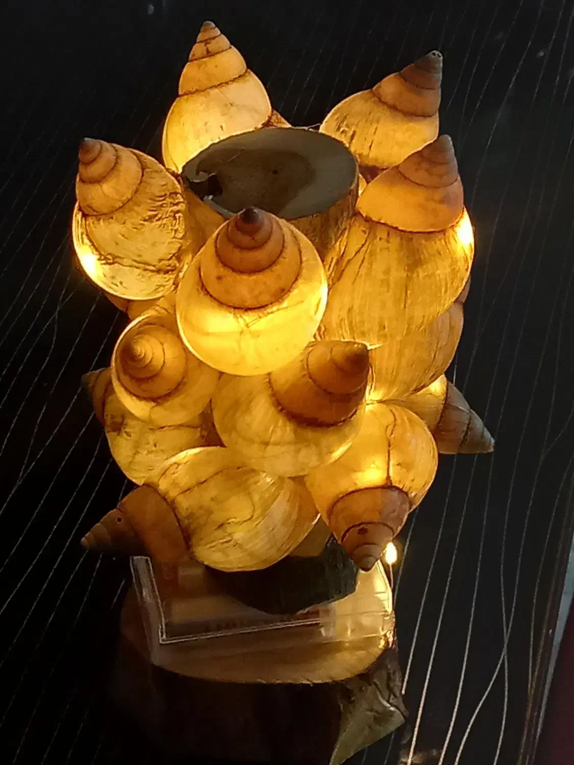 چراغ‌خواب با لاک حلزون|چراغ خواب و آباژور|بجنورد, |دیوار