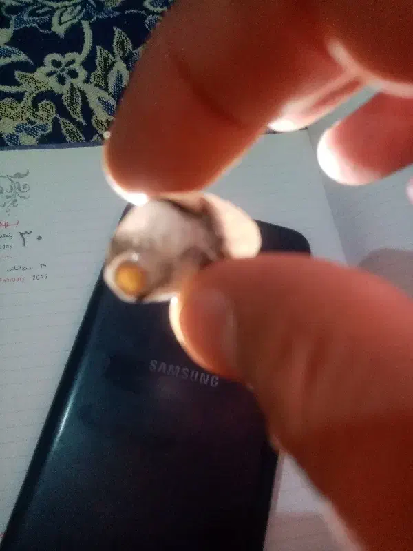 جواهر مروارید عتیقه که ازشکم ماهی دراومده|کلکسیون اشیاء عتیقه|اردبیل, |دیوار