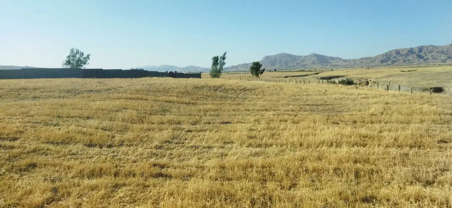 فروش زمین کشاورزی وباغی|فروش دفتر صنعتی، کشاورزی، تجاری|ایلام, |دیوار