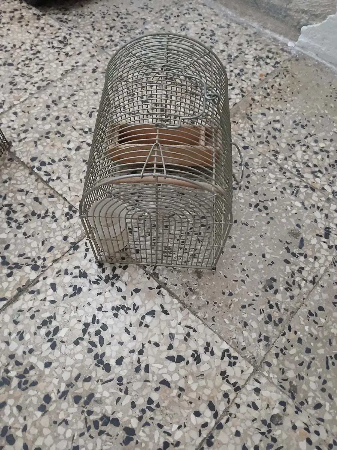 قفس پرنده نو درحد تعدادی هست|لوازم جانبی حیوانات|دوگنبدان, |دیوار