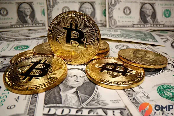 آموزش|فعالیت داوطلبانه|قم, بنیاد|دیوار