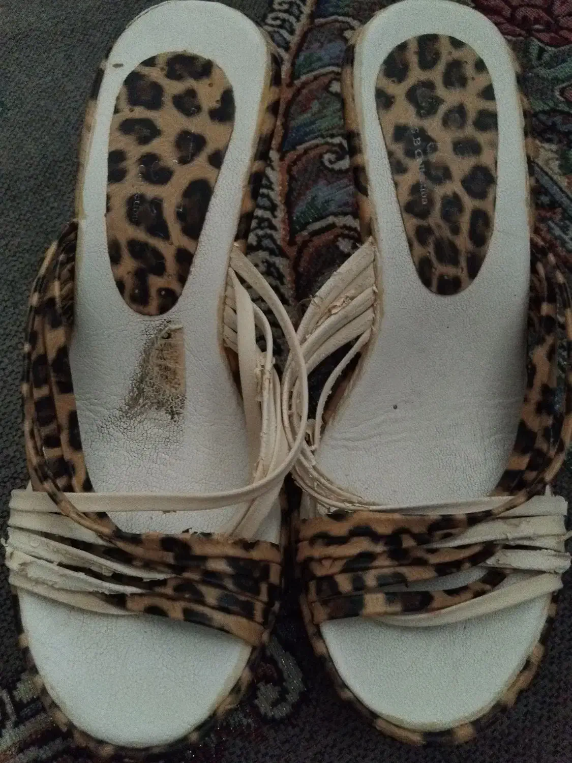 کفش زنانه|کیف، کفش، کمربند|گلبهار, شهر جدید گلبهار|دیوار