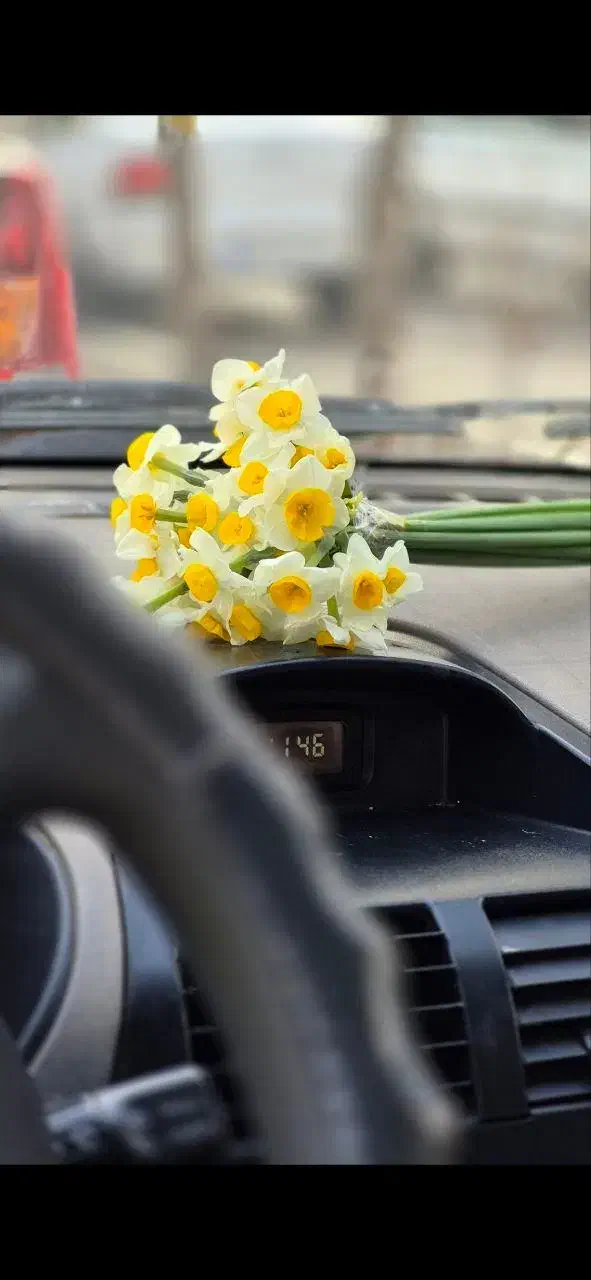 عکاسی خیابانی پاییزه کافه تولد|خدمات پذیرایی، مراسم|قم, دانش|دیوار