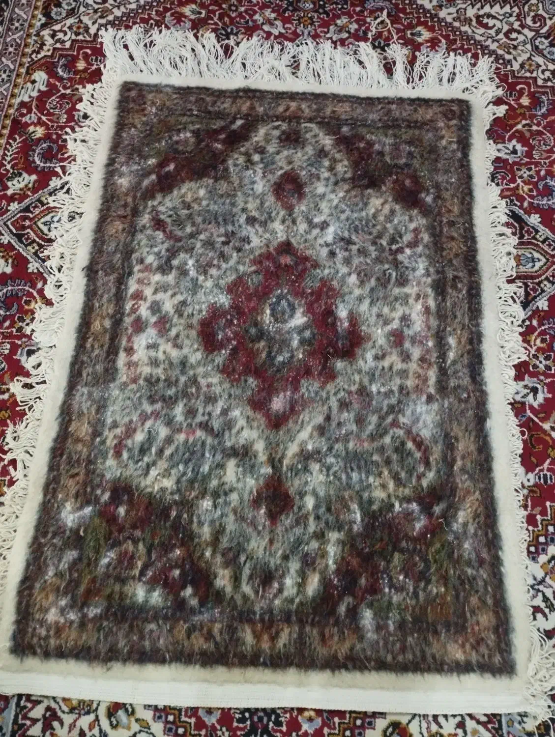 فرش زرنیم دستباف|فرش|مراغه, |دیوار