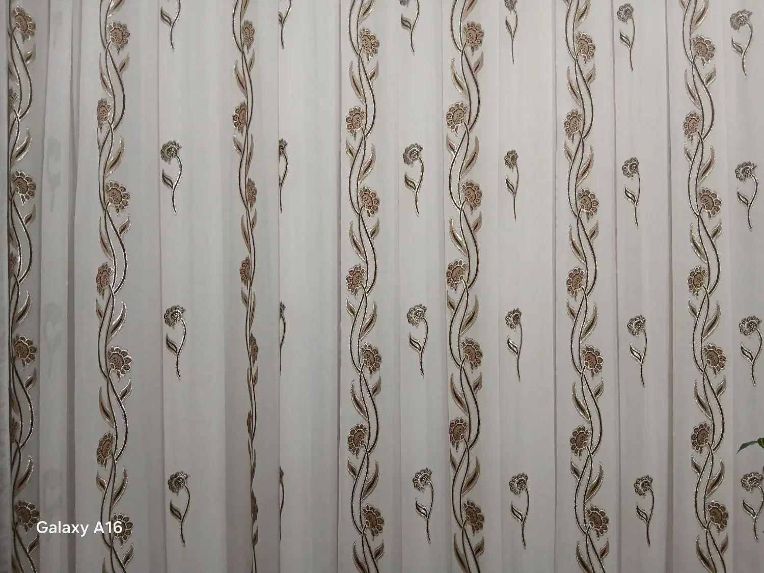 پرده حریر|پرده، رانر، رومیزی|لردگان, |دیوار