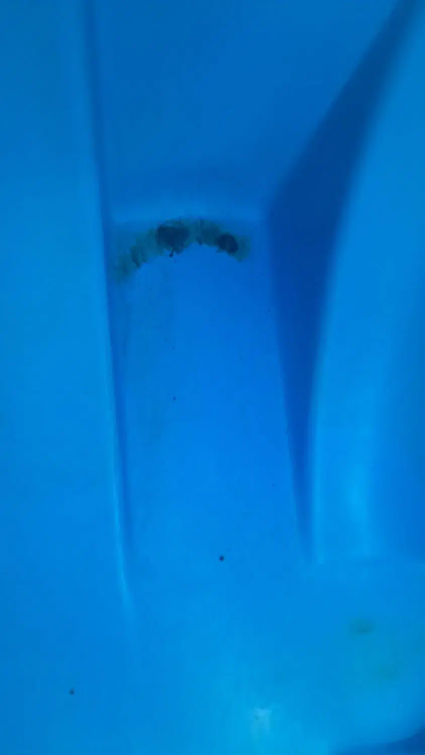 جوش پلاستیک مخزن وسپرماشین درمحل شما در قم وحومه|خدمات پیشه و مهارت|قم, انصارالحسین|دیوار