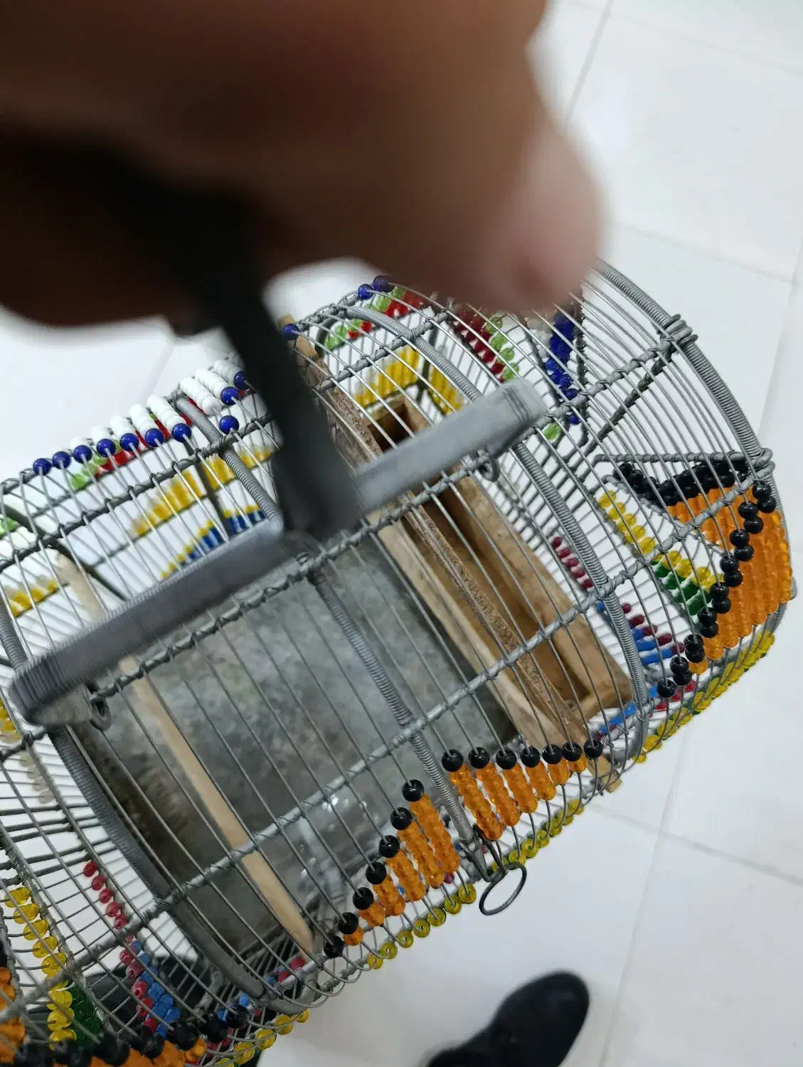 قفس|لوازم جانبی حیوانات|آستارا, |دیوار