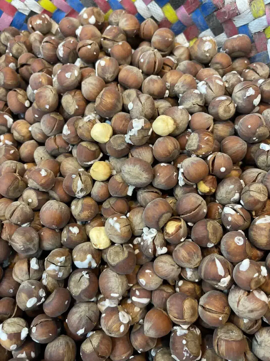 فندق|خوردنی و آشامیدنی|کرج, فاز ۴ مهرشهر|دیوار