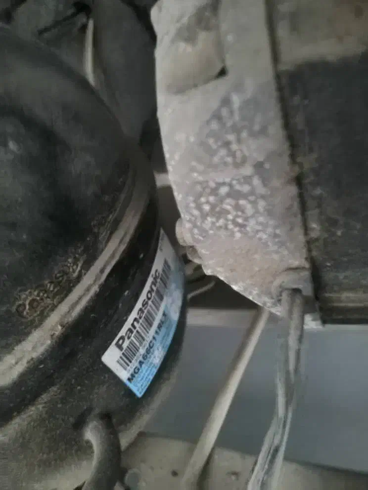 یخچال ویترینی|فروشگاه و مغازه|بندر گناوه, |دیوار