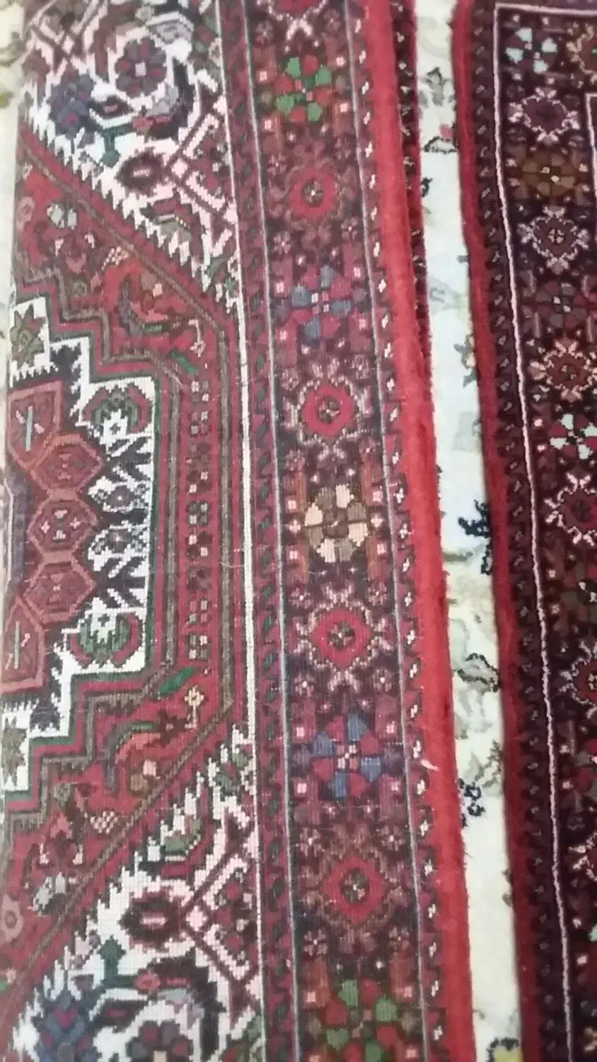 یک جفت فرش نو دستبافت بیجار|فرش|قم, بوستان علوی|دیوار