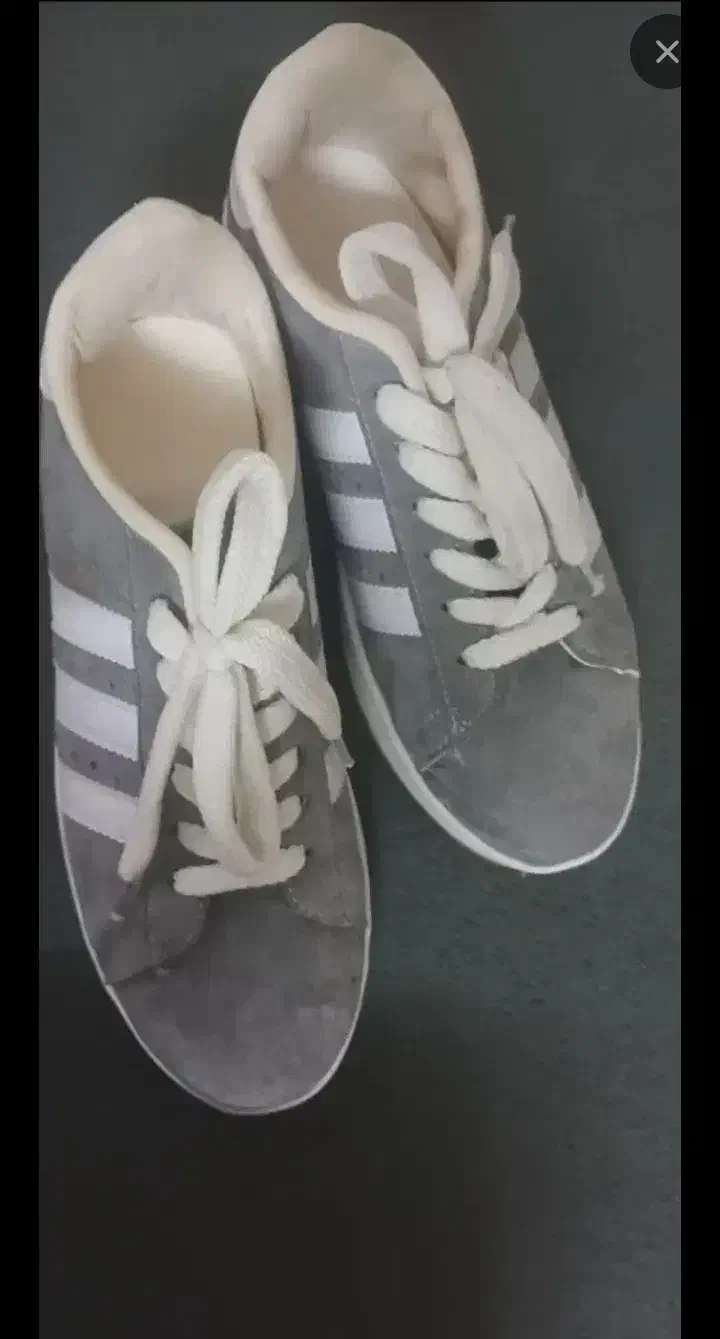 کفش|کیف، کفش، کمربند|کاشان, فاز ۱ ناجی آباد|دیوار