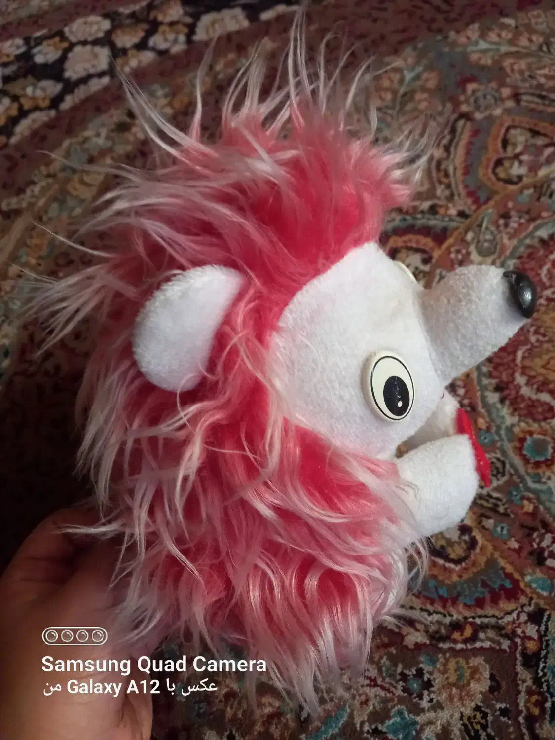 عروسک جوجه تیغی|اسباب‌‌بازی|شیراز, کوشک میدان|دیوار