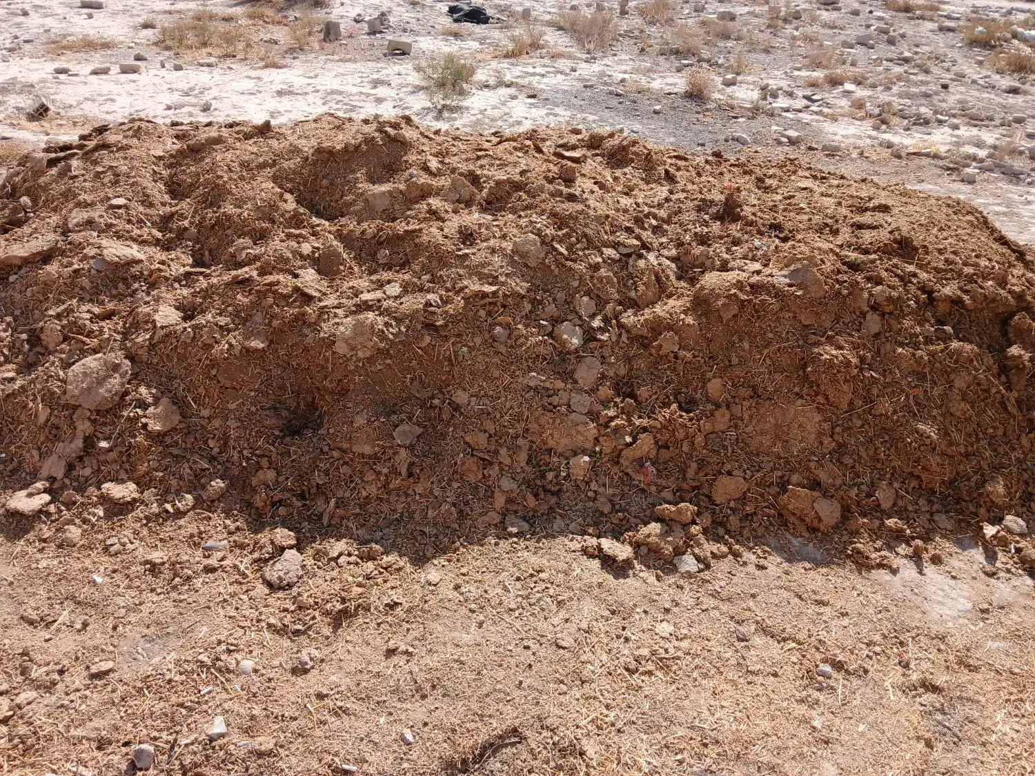 کود گوسفندی یک وانت|خدمات باغبانی و درختکاری|شهریار, شهرک بهاران (ویره)|دیوار