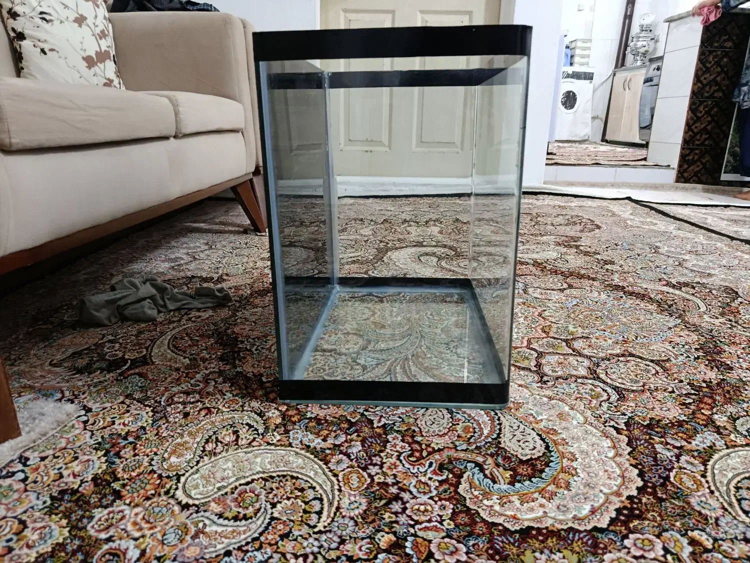 آکواریوم شیشه خام|ماهی|سنندج, |دیوار